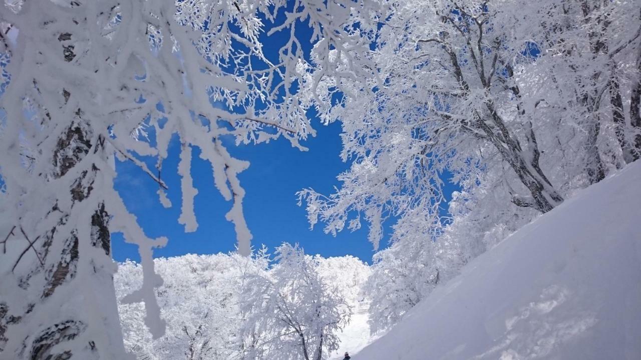 Nozawa Dream Central 외부 사진