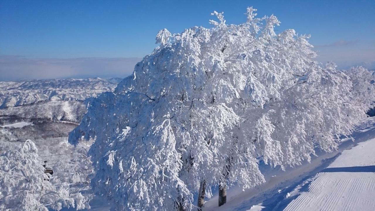 Nozawa Dream Central 외부 사진