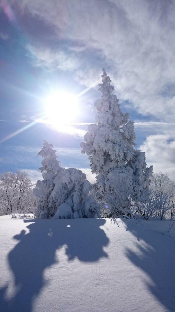 Nozawa Dream Central 외부 사진