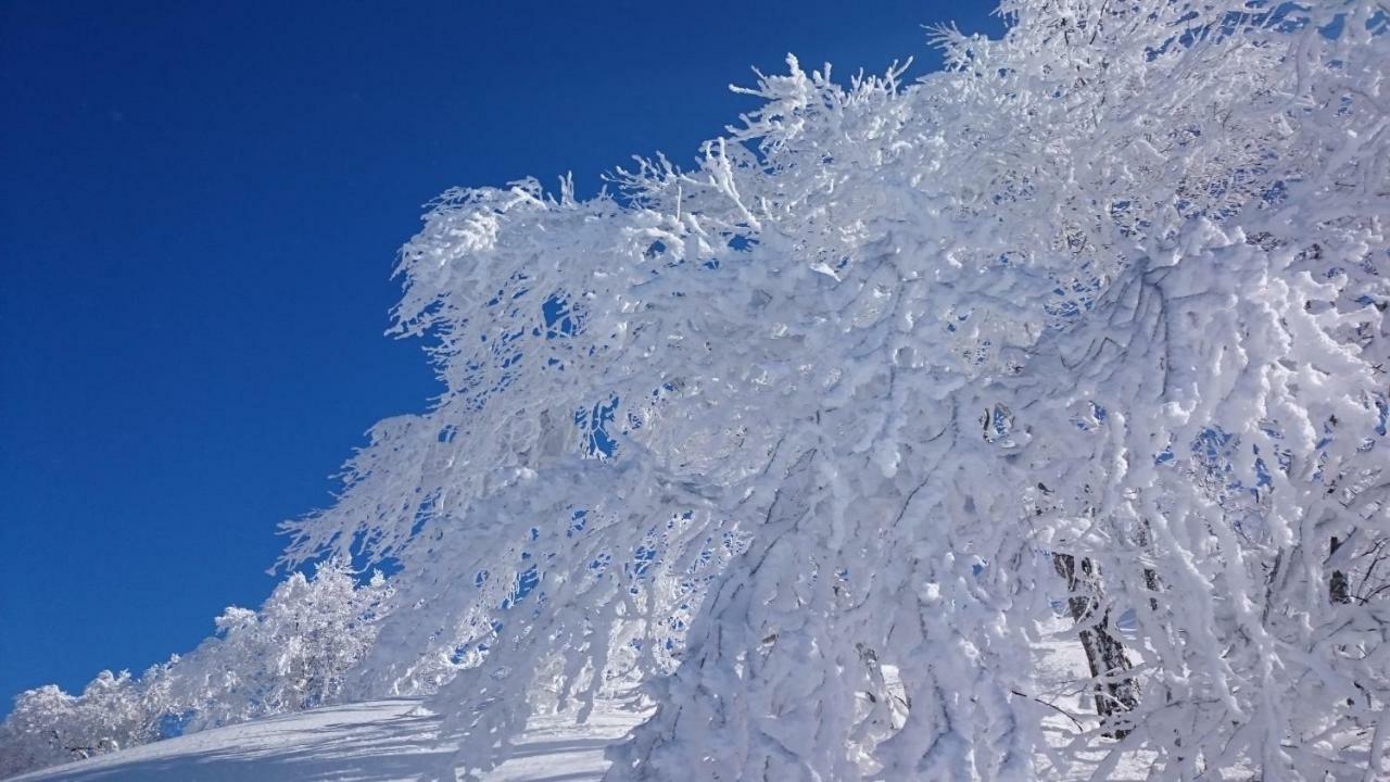 Nozawa Dream Central 외부 사진